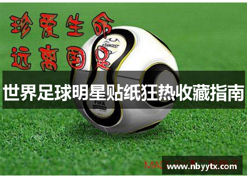 世界足球明星贴纸狂热收藏指南