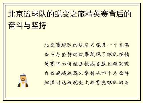 北京篮球队的蜕变之旅精英赛背后的奋斗与坚持